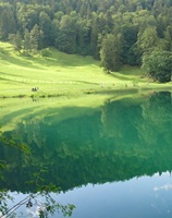 Alatsee Bavaria Germany
